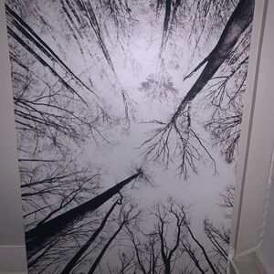 EARTHBOUND Monochrome Canopy Mural in Black & White